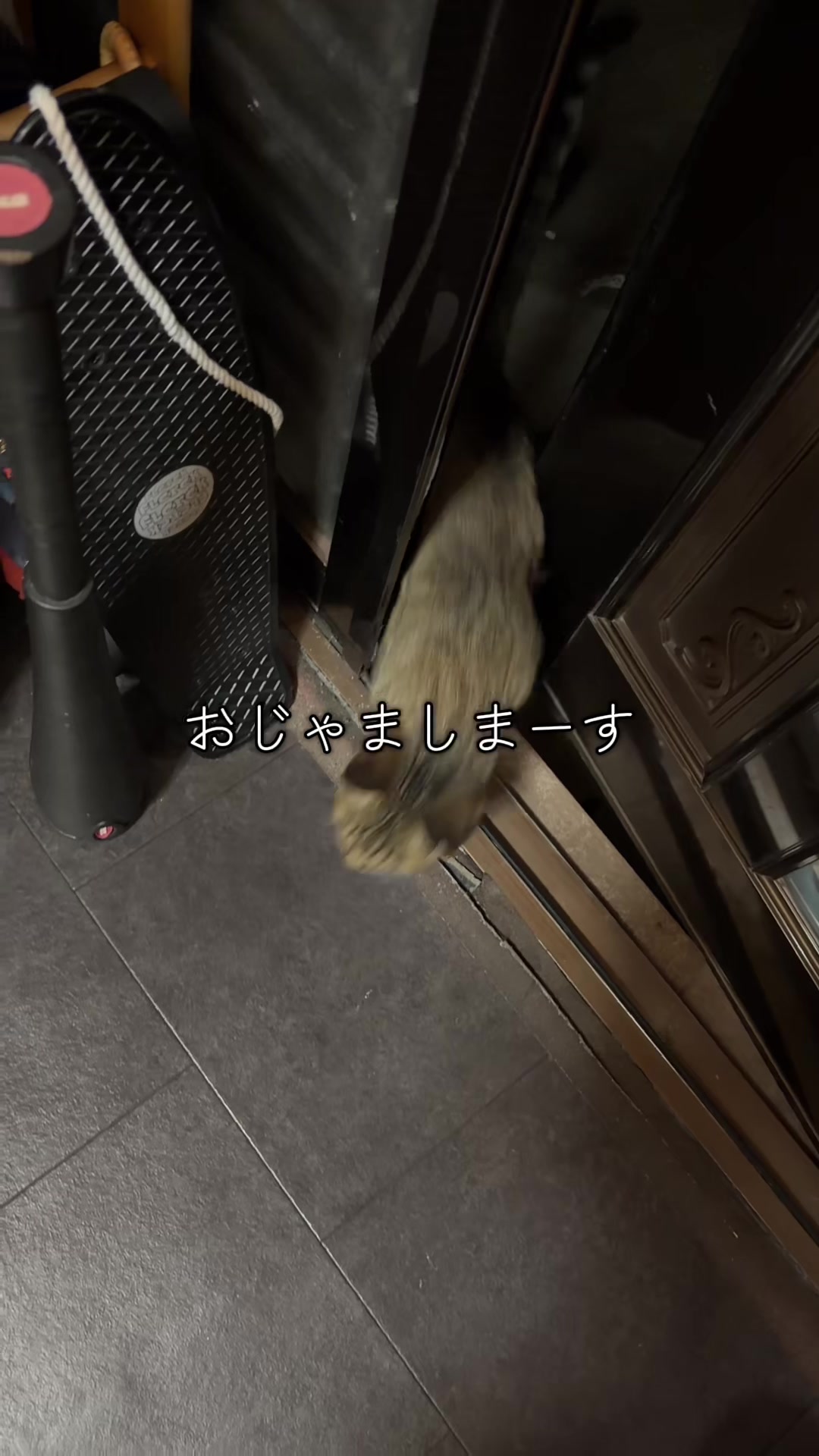 @すぎぴ
