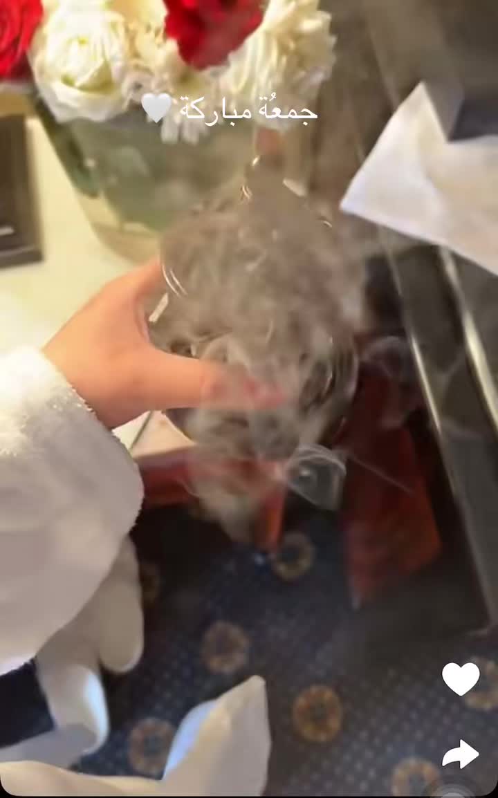 @NOODY🇶🇦