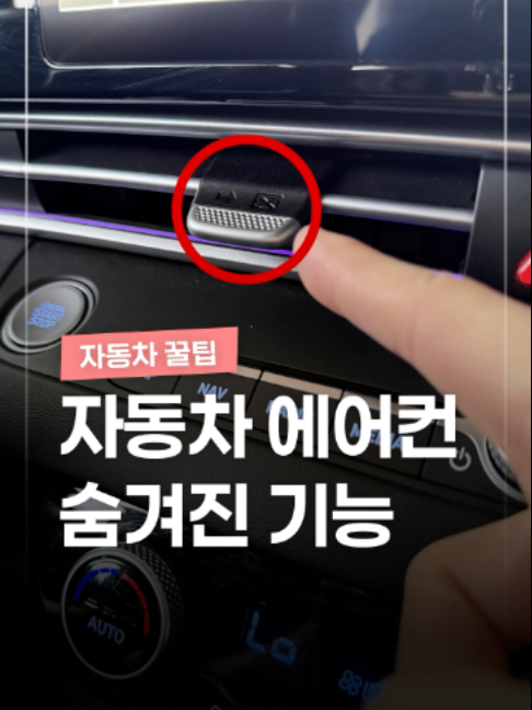 @짤컷