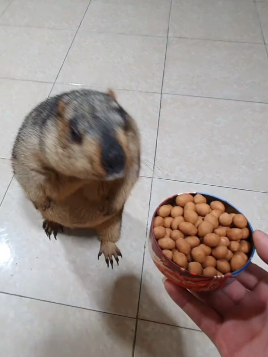 @YêuYêu