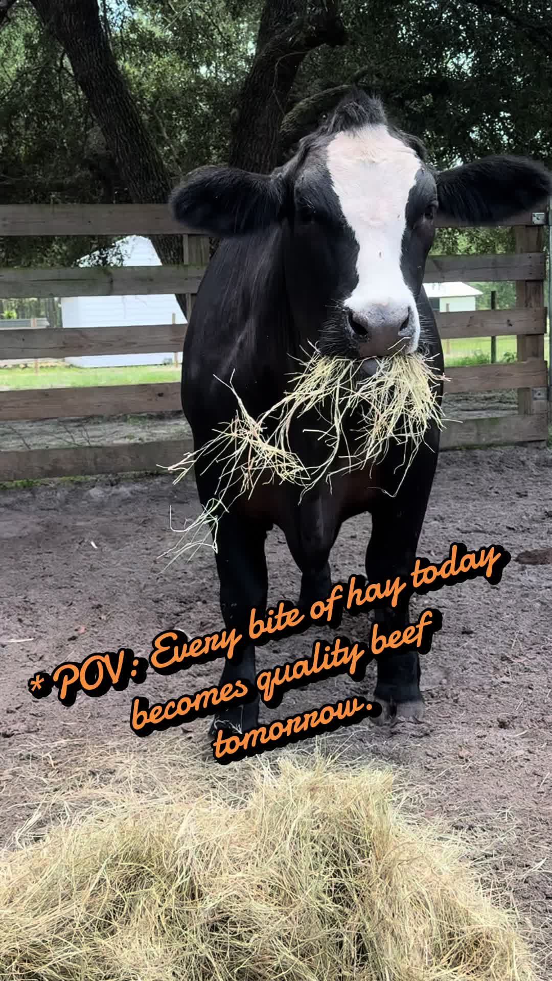 @RRFarmLabs