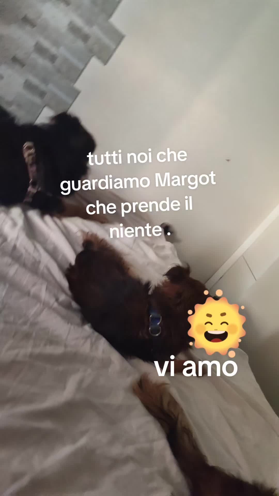 @Viviana Di Fonzo