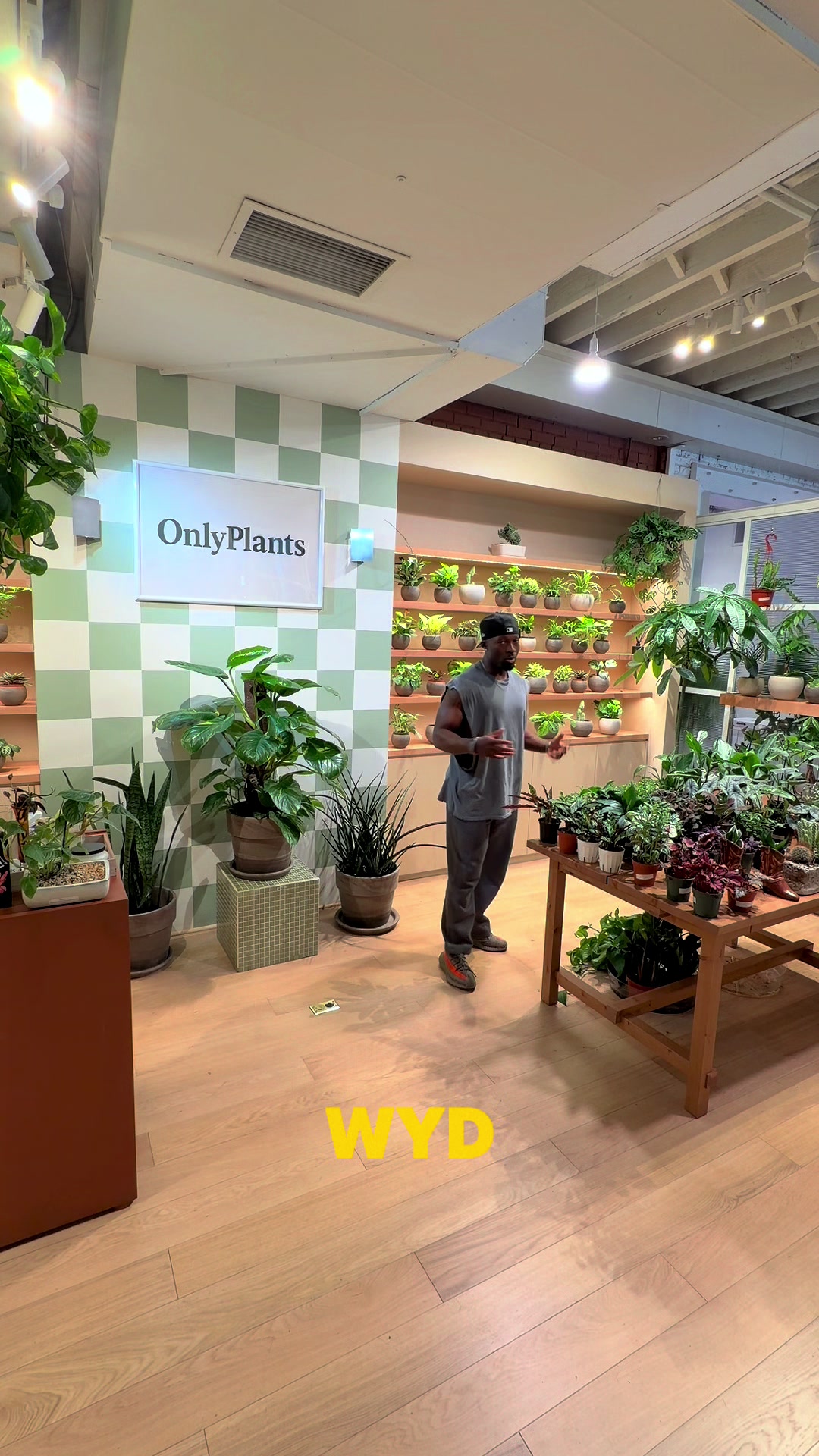 @PLANT DADDY KOSS