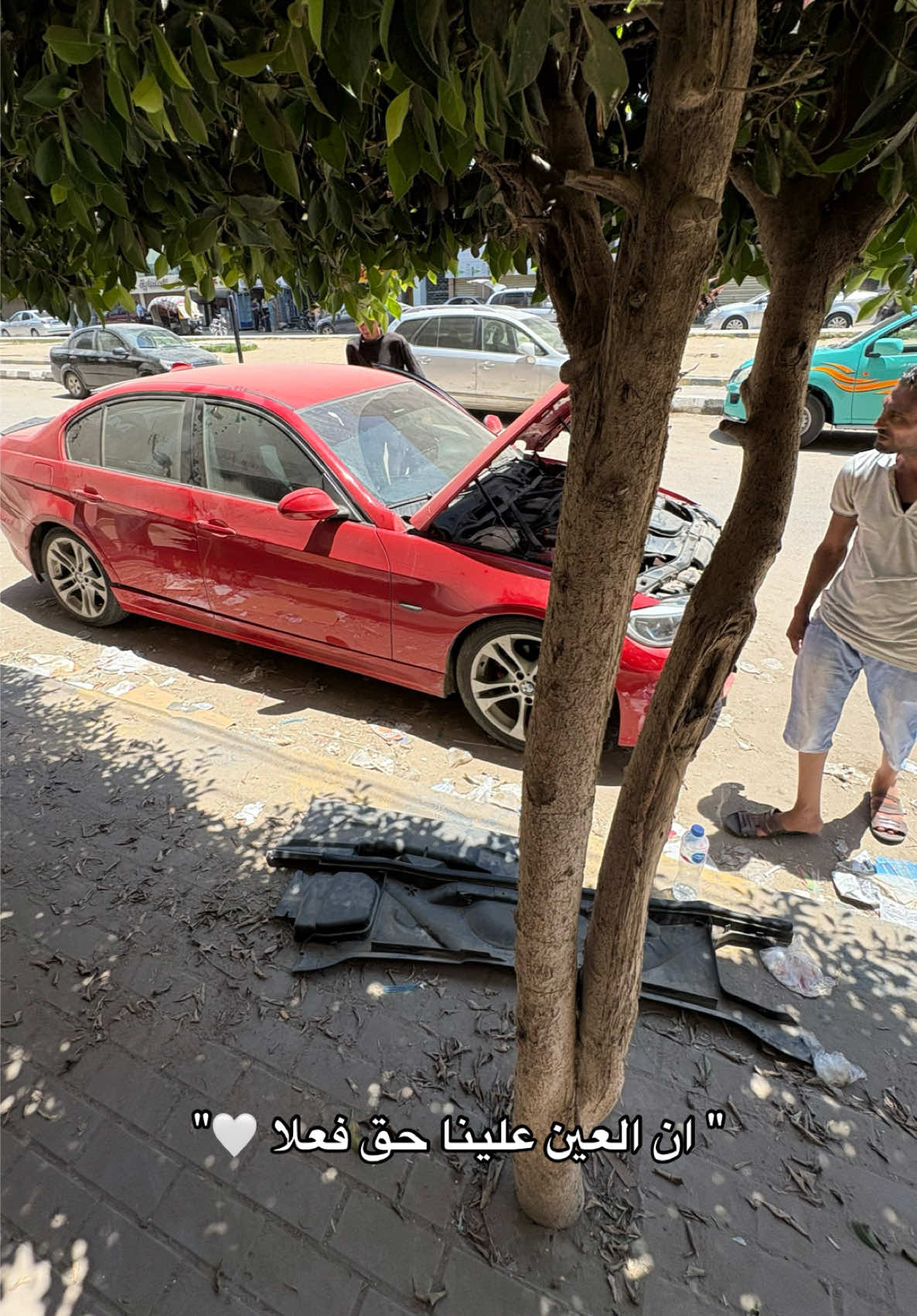 @🌟زين الجارحي | Zain Eljarhi