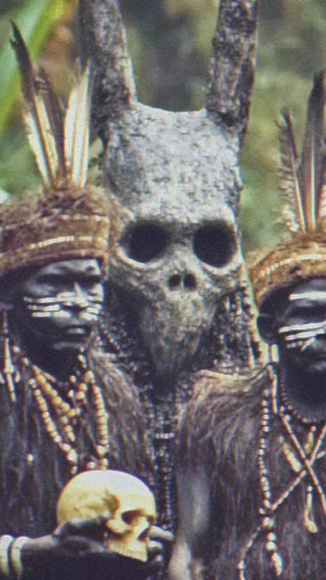 @SwampDiscoveries