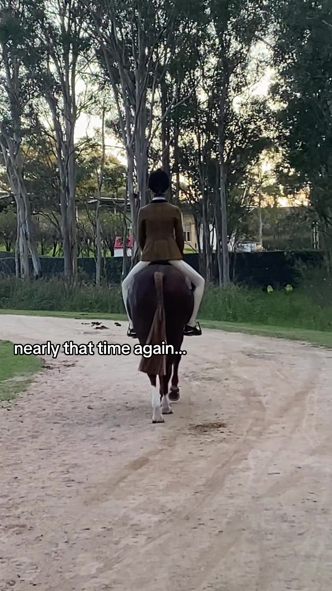 @AR show horses