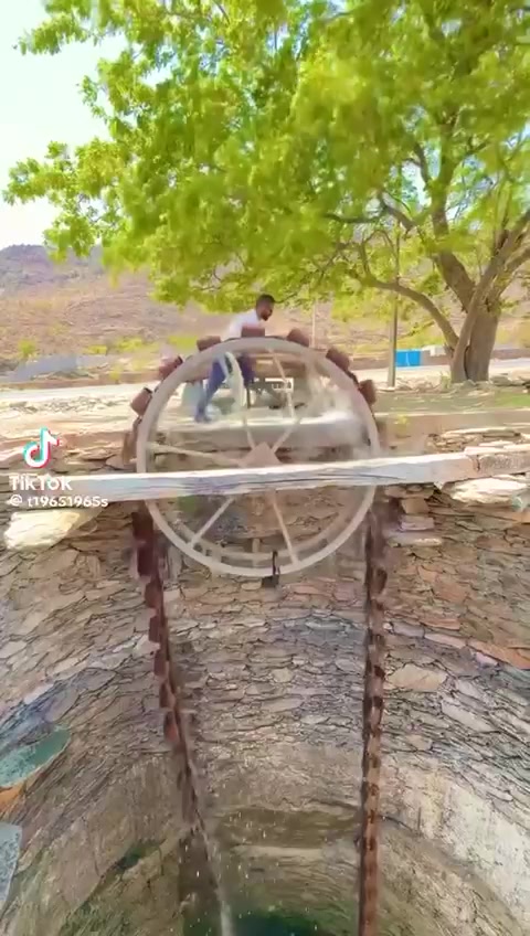 @ranbirbains418