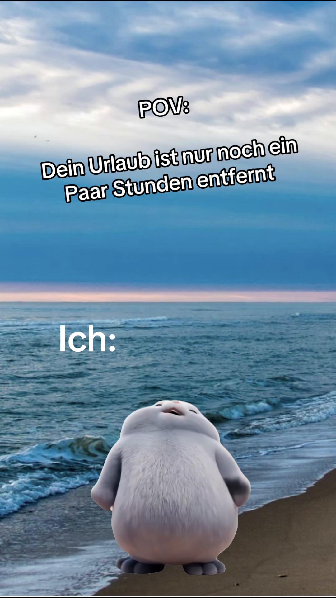 @BrinckmannMarcel
