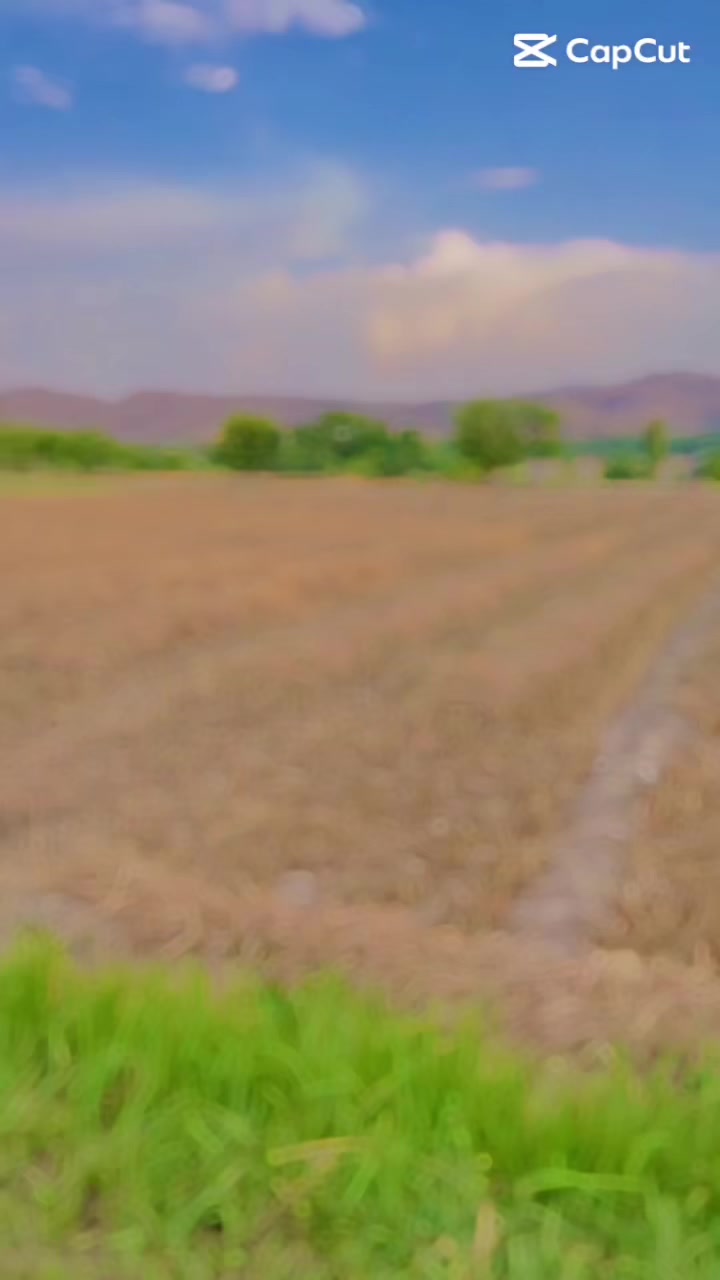 @ᴹ🆁᭄𝐒ᴀ𝐋ᴀ🅡︎
