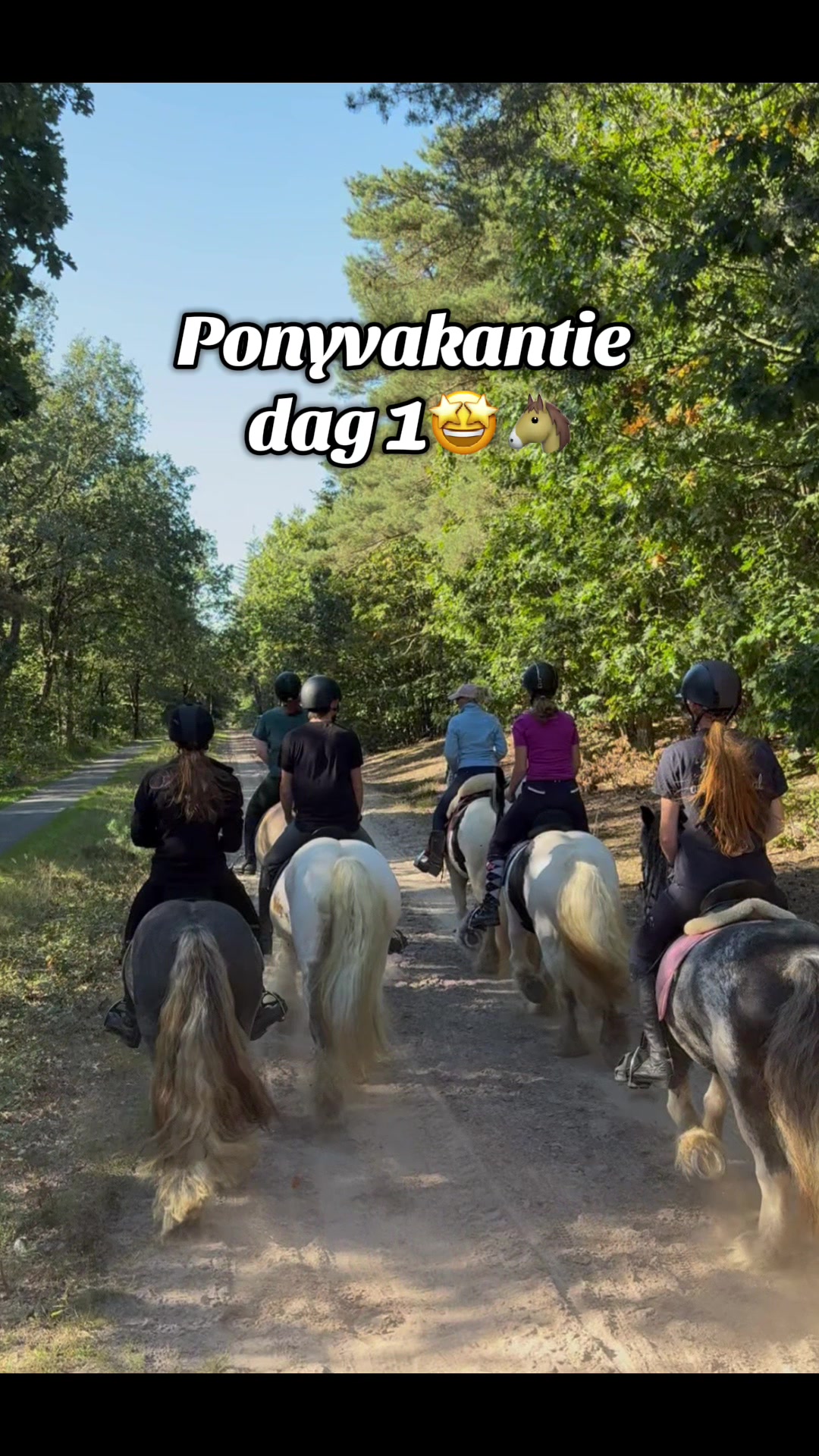 @Syrche Cordewener