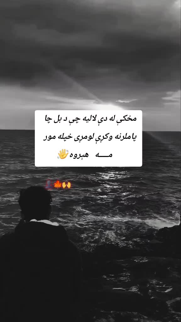 @`.`~☆~`.`