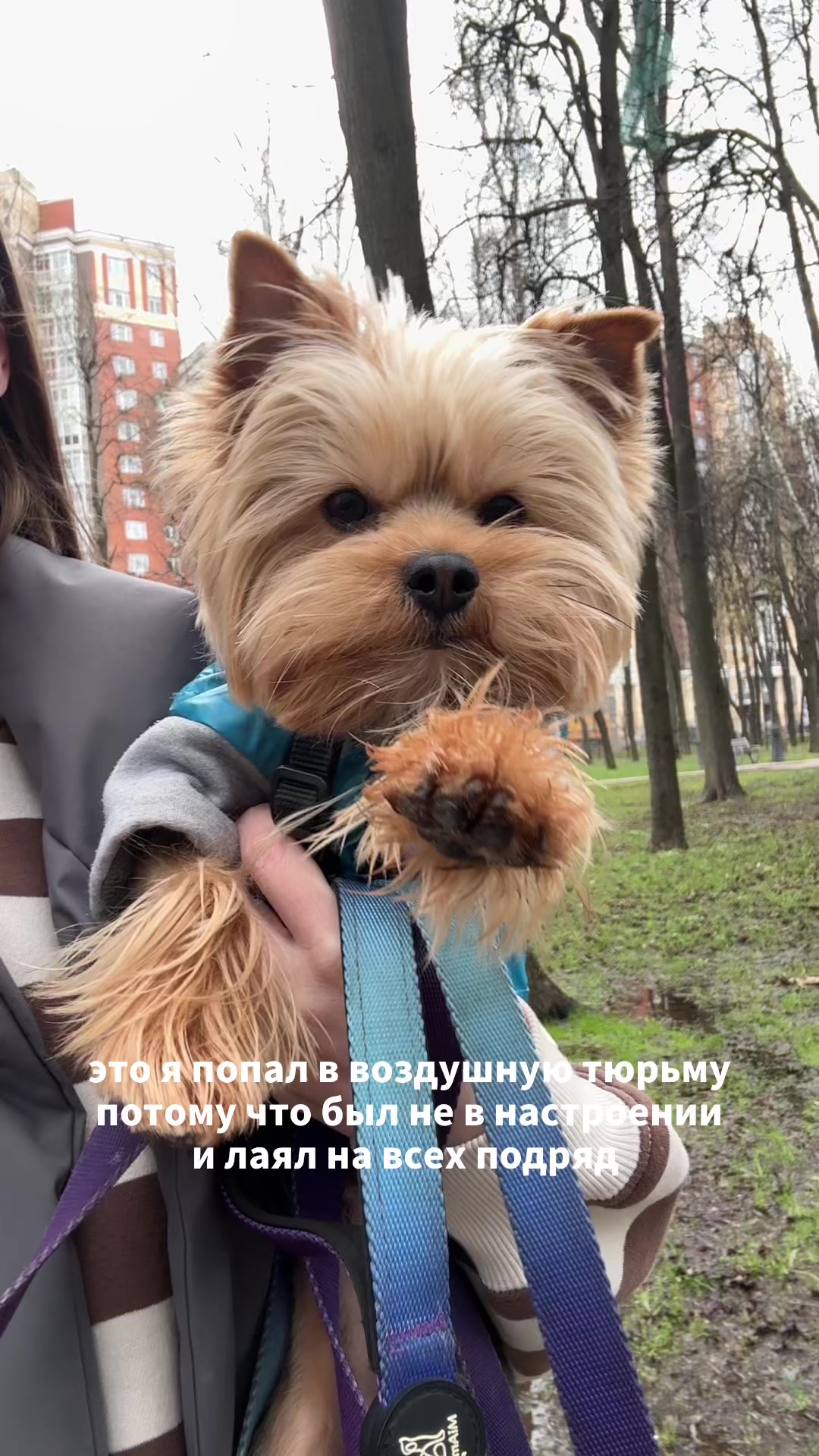 @лера и йорк толик