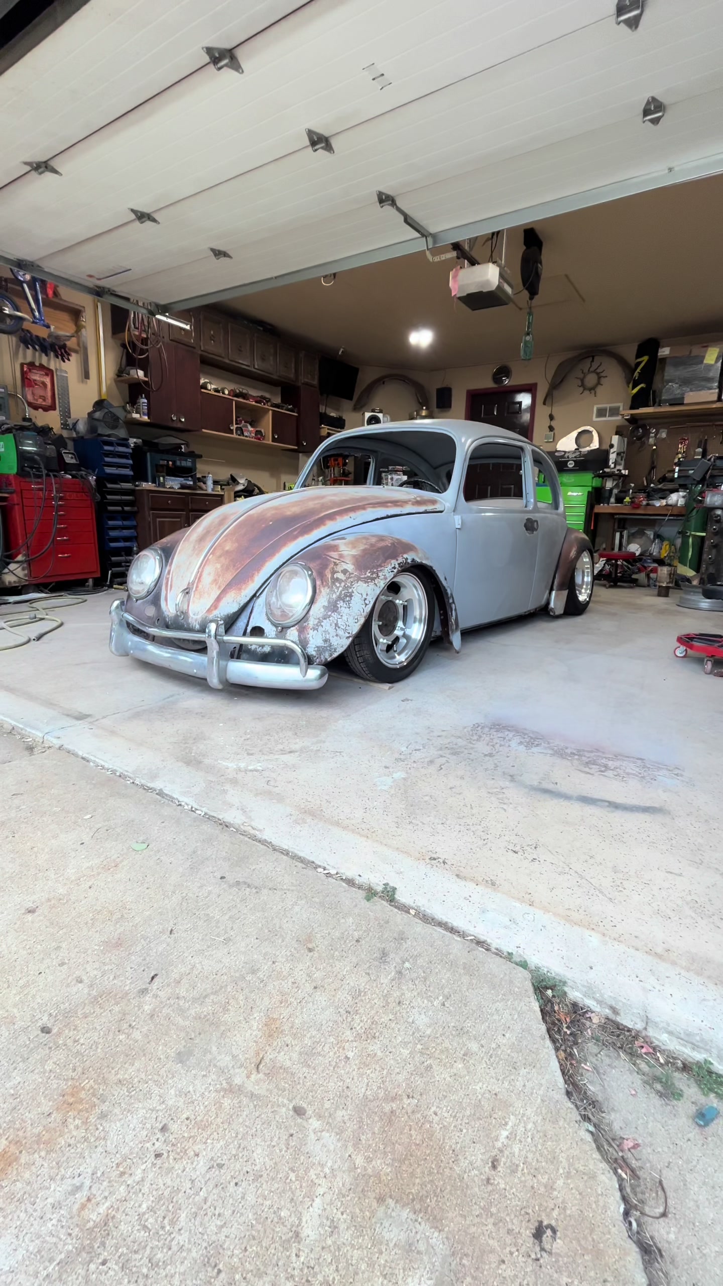 @66ishbeetle