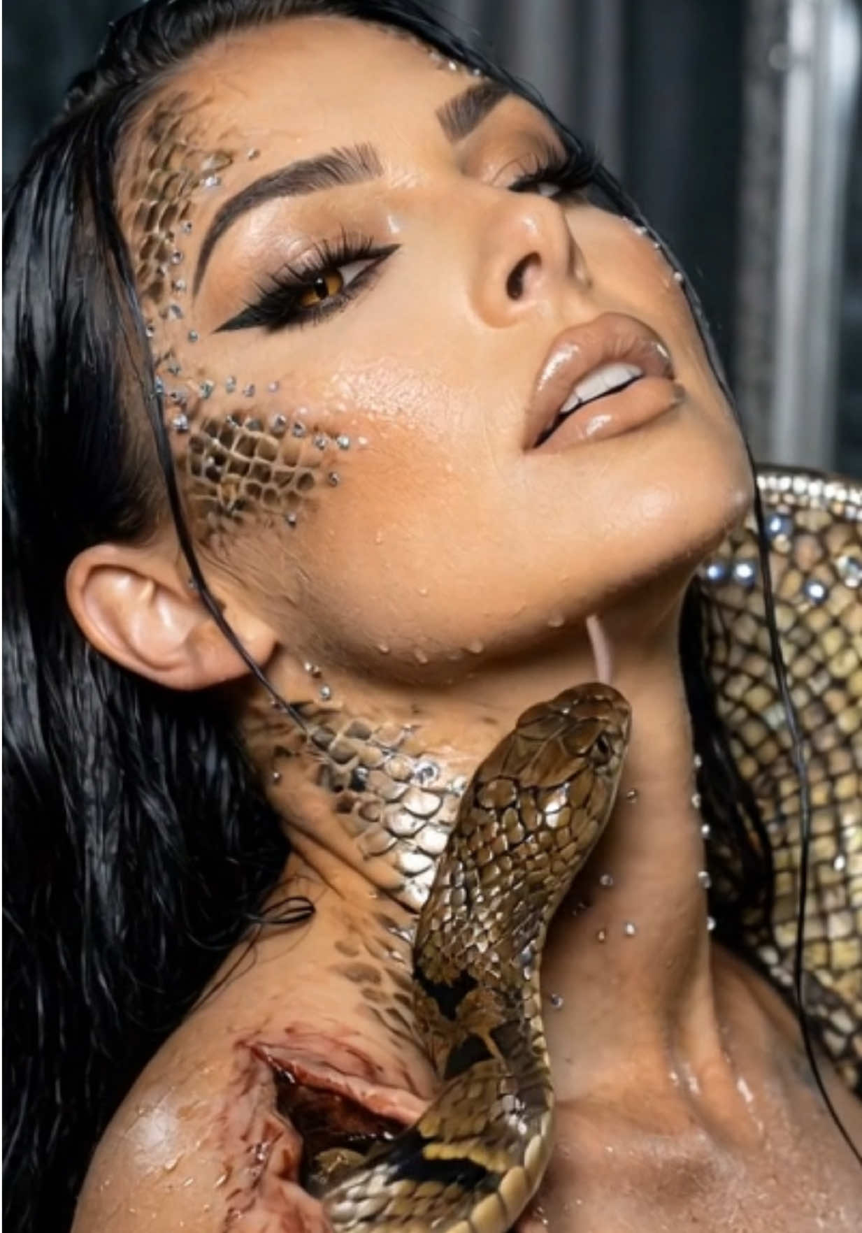 @𝕹𝖆𝖙𝖎𝖛𝖊𝕭𝖔𝖒𝖇𝖘𝖍𝖊𝖑𝖑