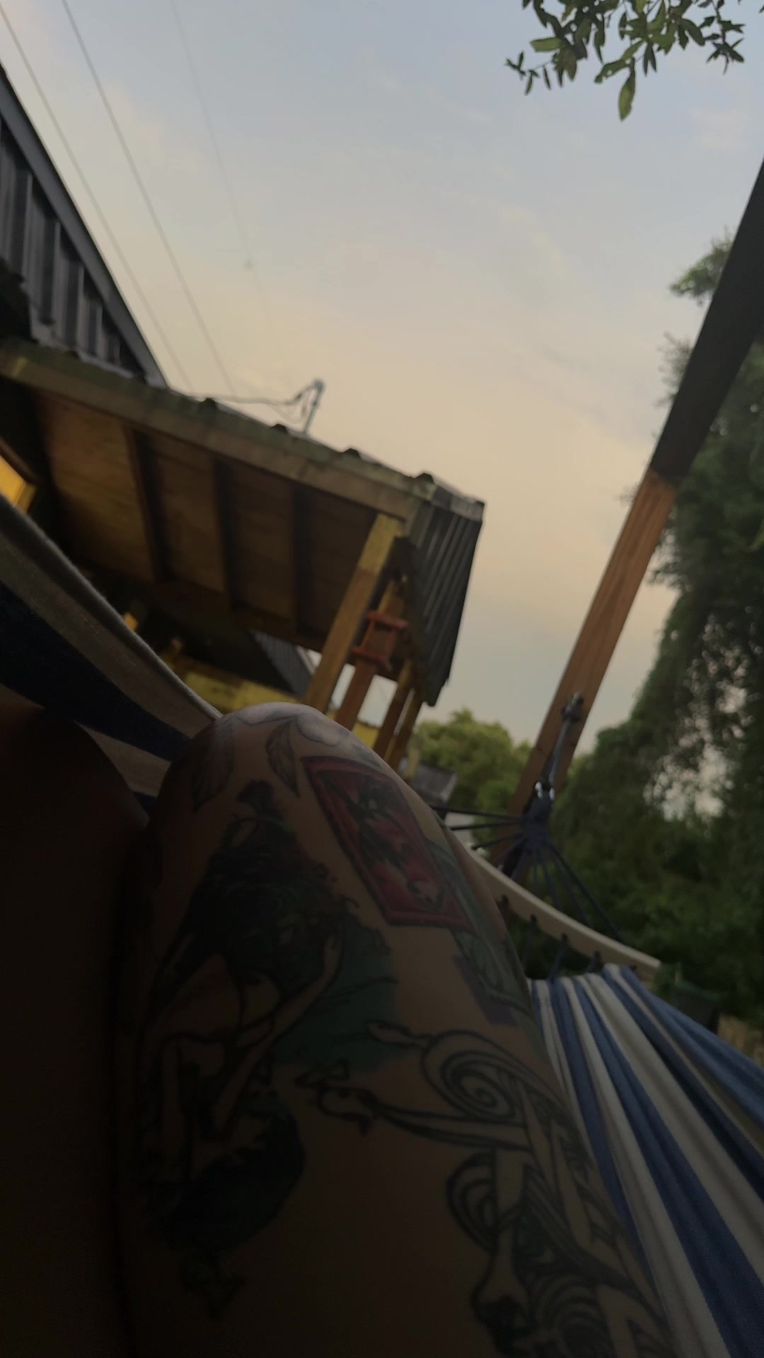 @Lizzzzzzzzzard🦎