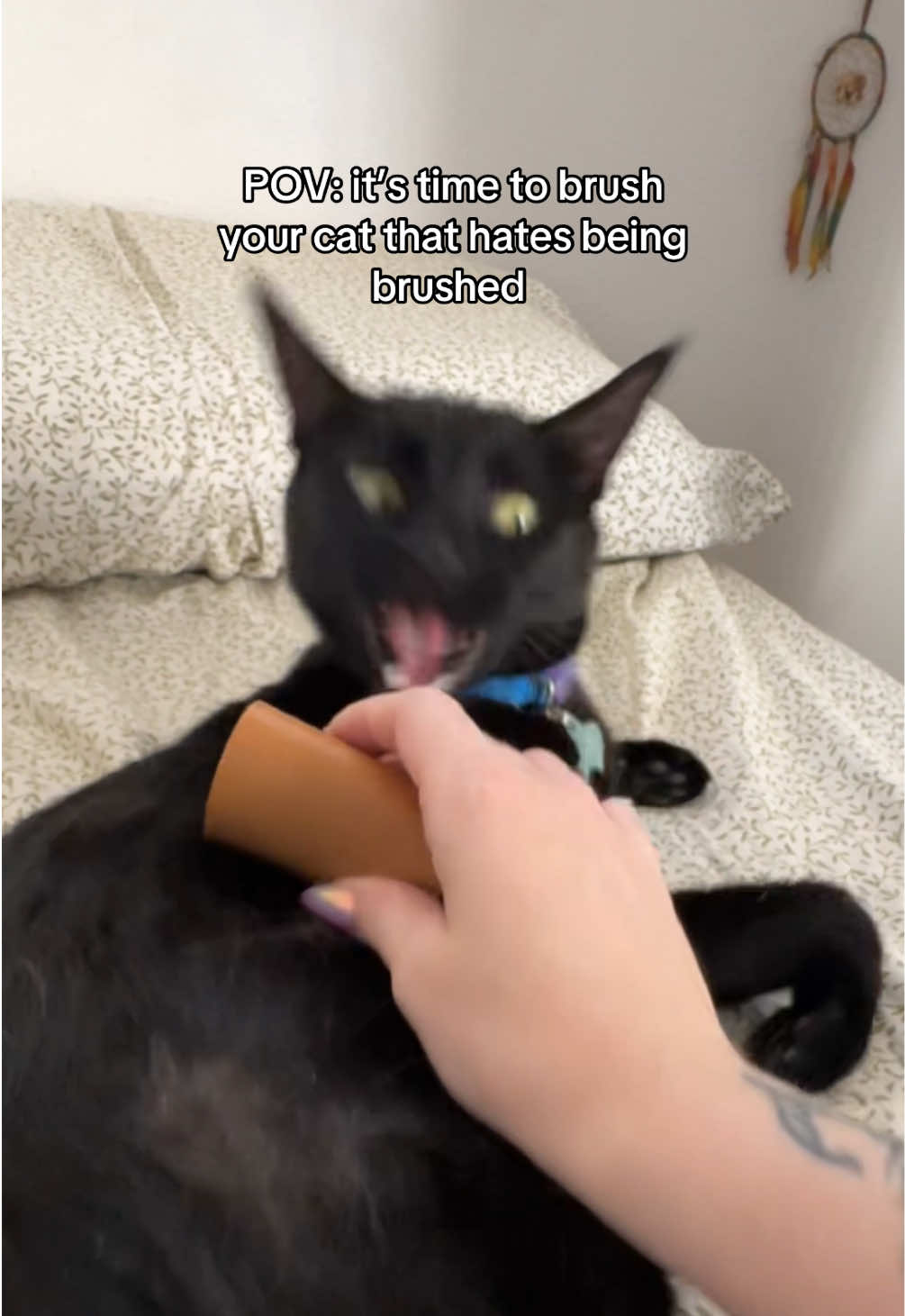 @Biggy smalls🐈&zwj;⬛