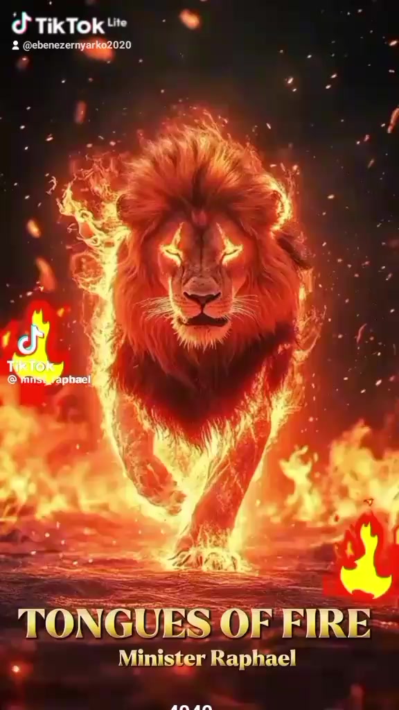 @KING OF FIRE 🔥