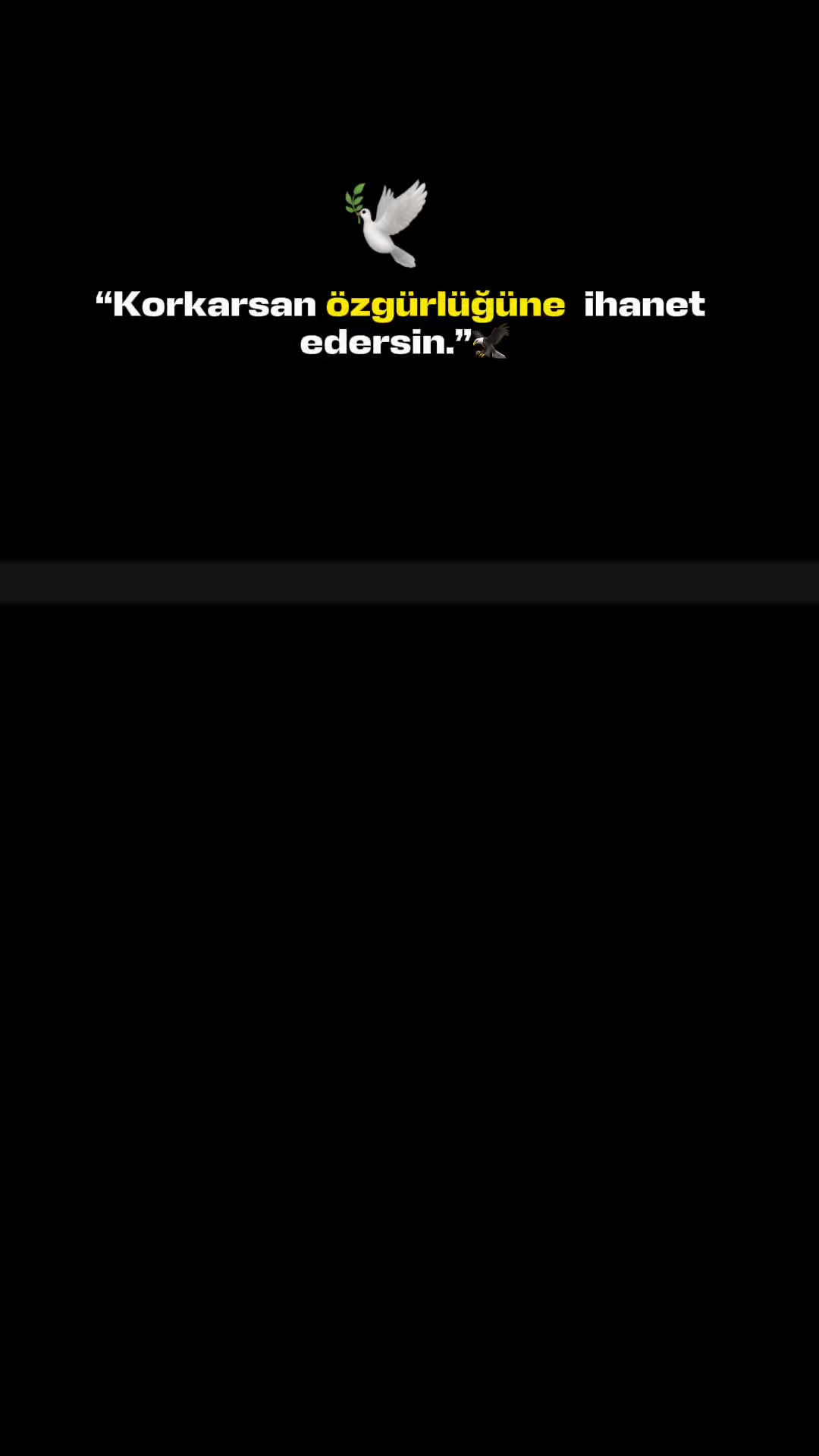 @&Ouml;mer Kaya ✈︎