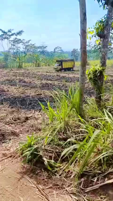 @@sugalih1