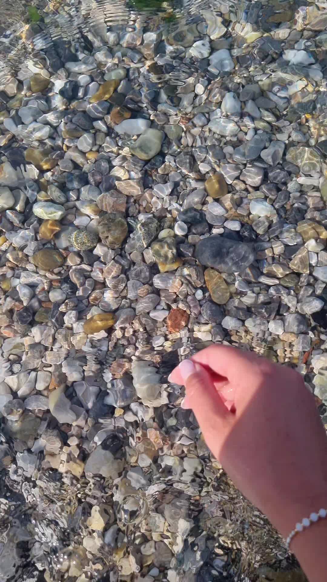 @magdsin