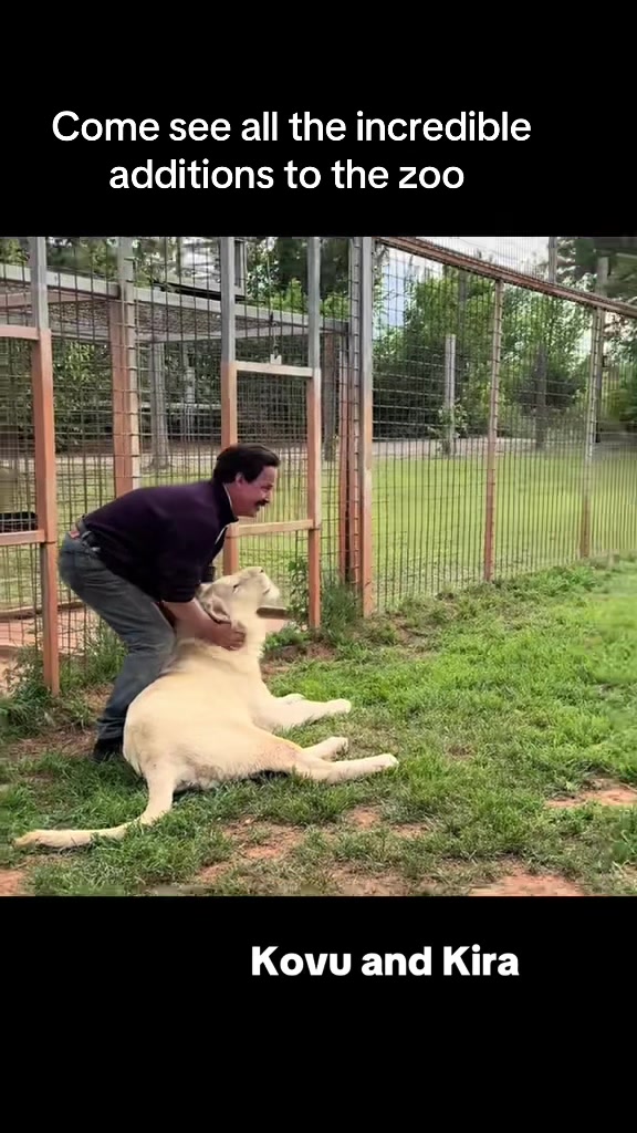 @Tigersafari