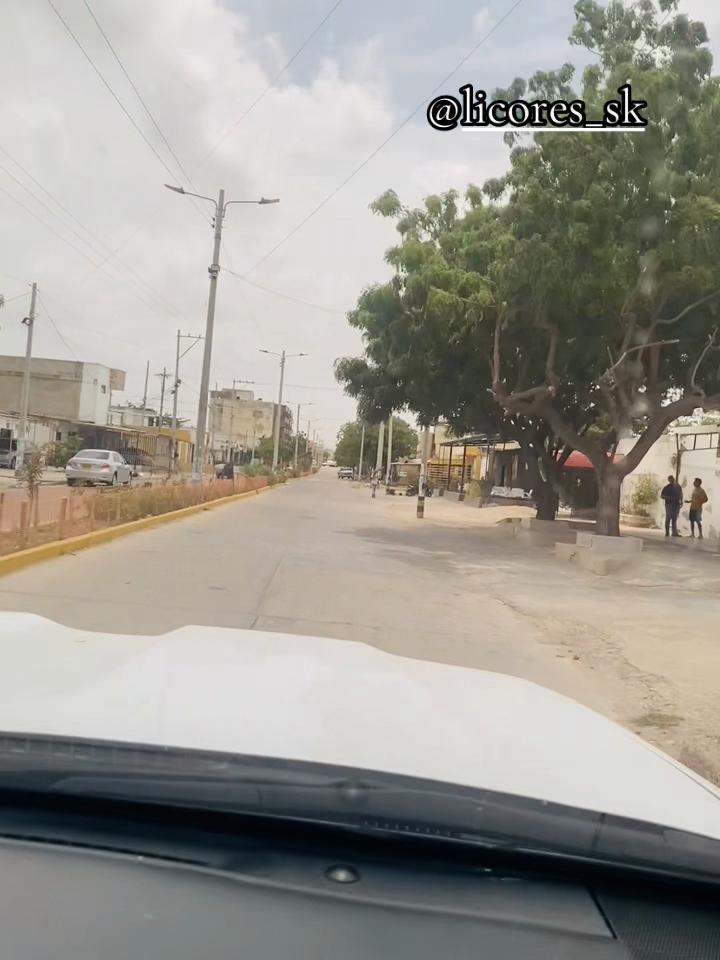 @Elenabrachocambar