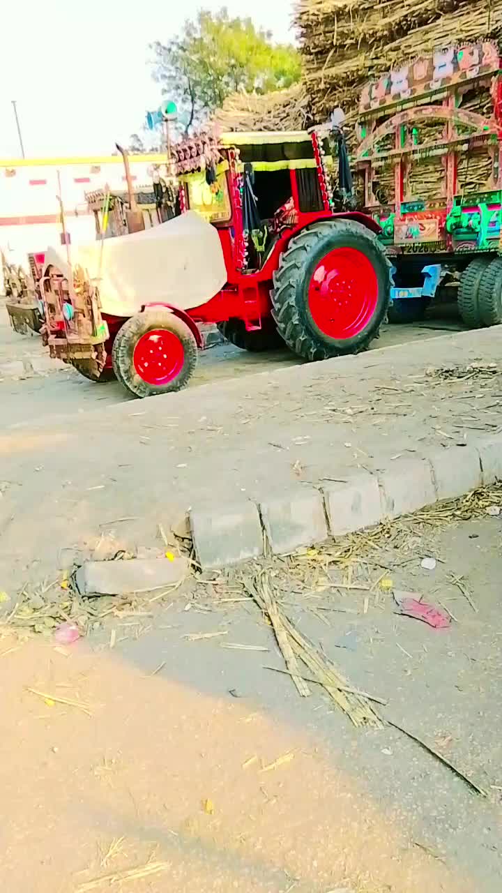 @zardari
