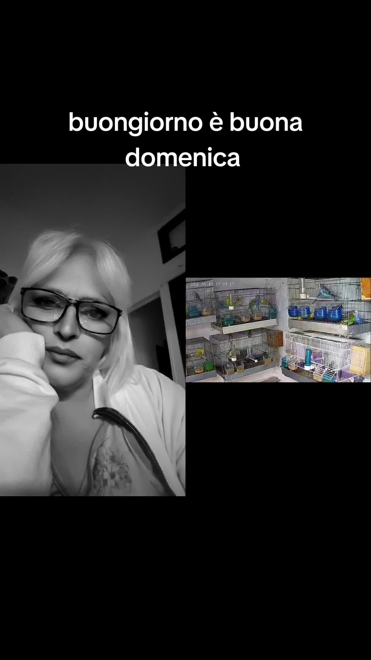 @a pazza di tikbtok