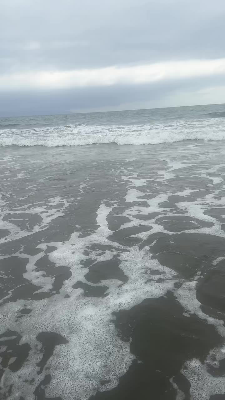@Deshell 🐚