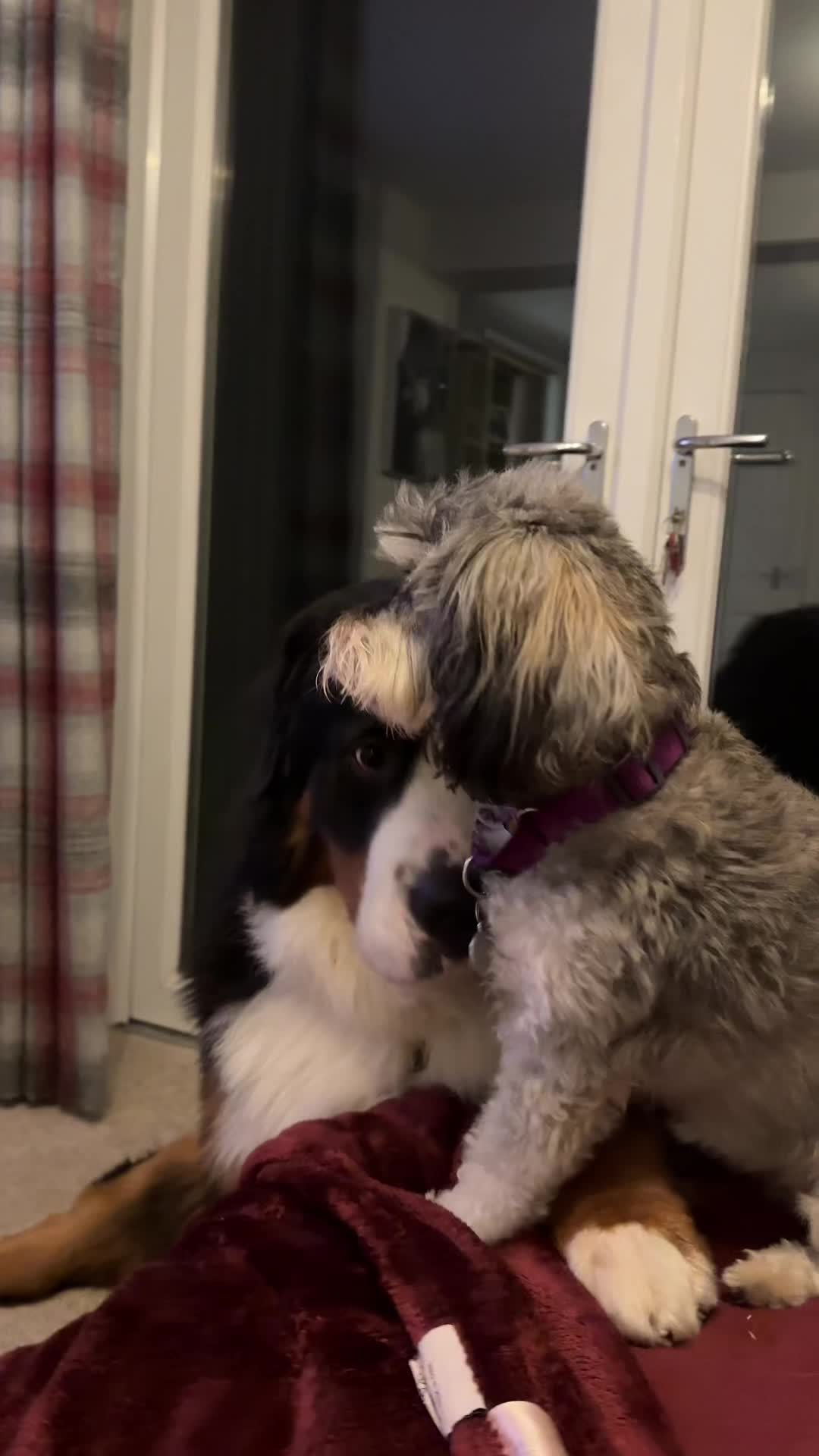 @GorgeousGeorge