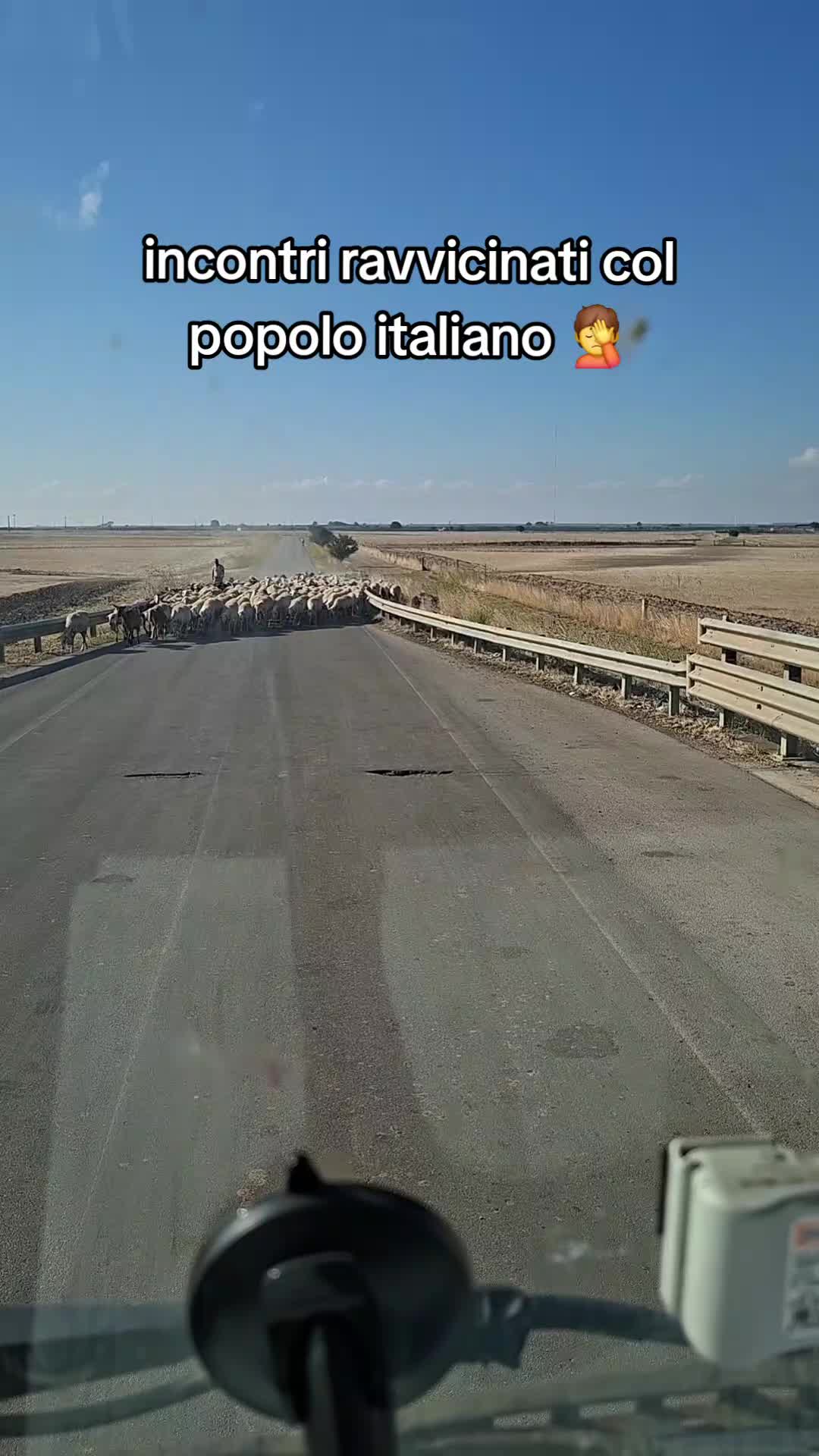 @carminecoppola3_