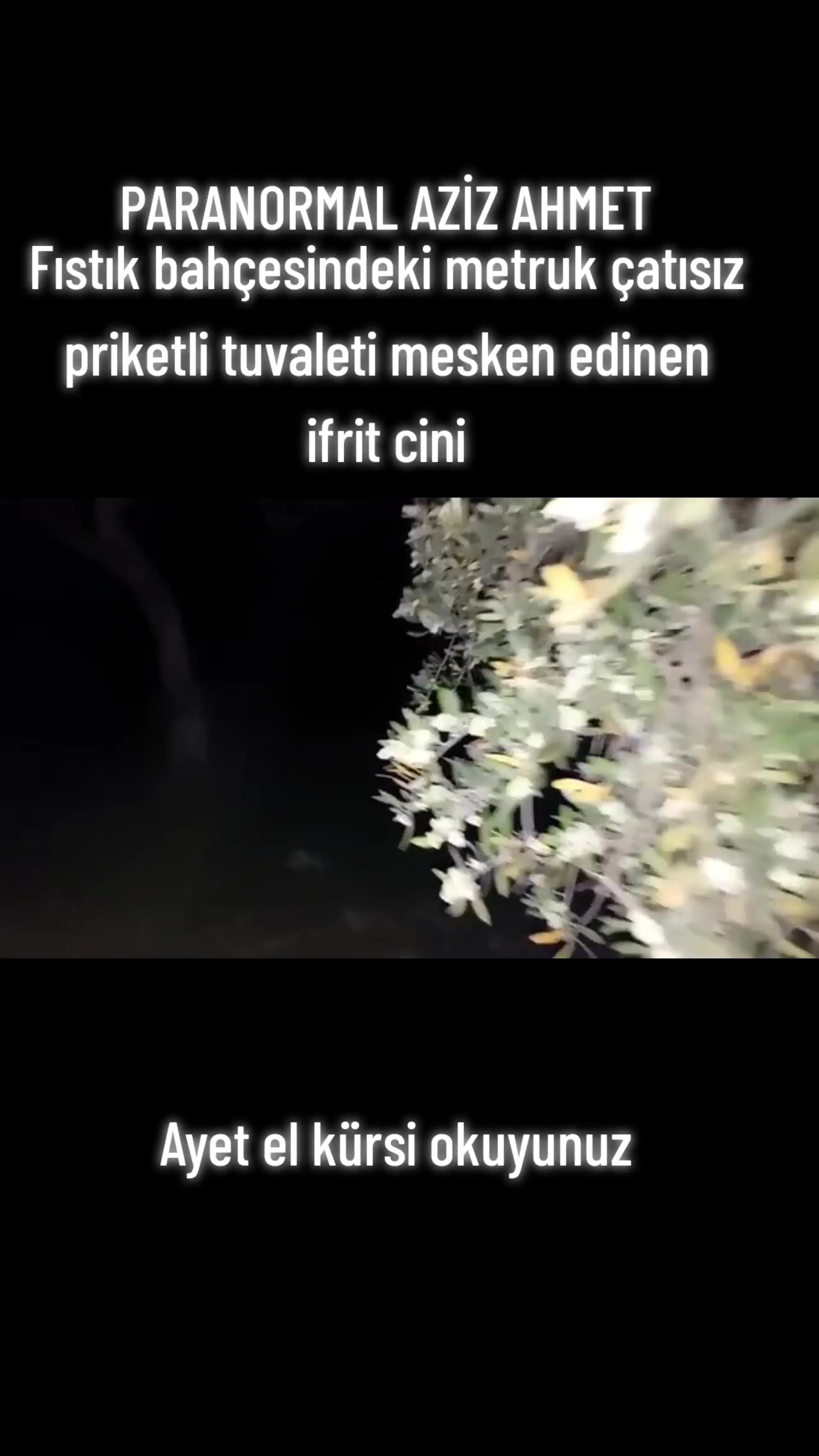 @BilalParanormalHBR