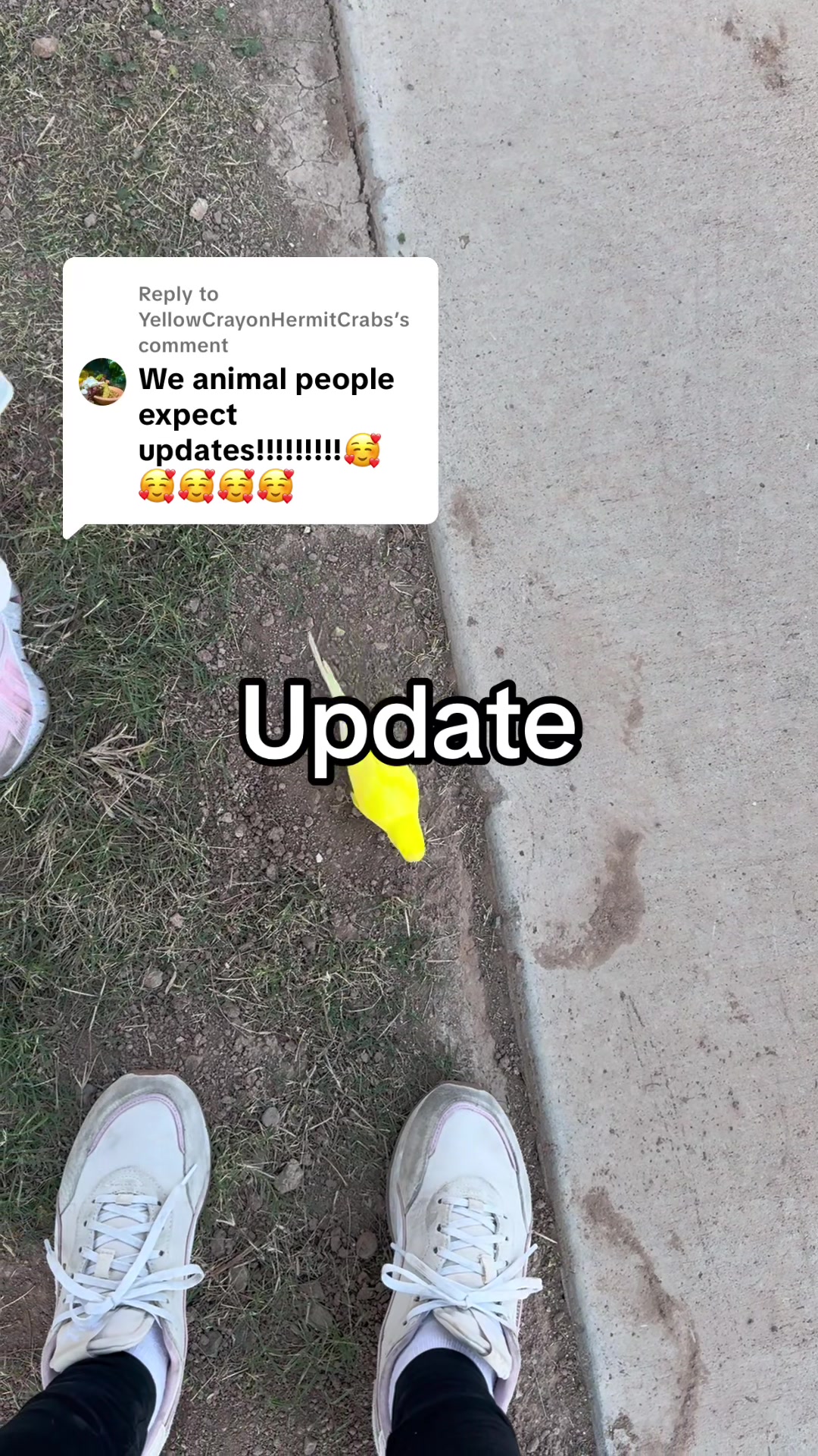 @LOLLEXI