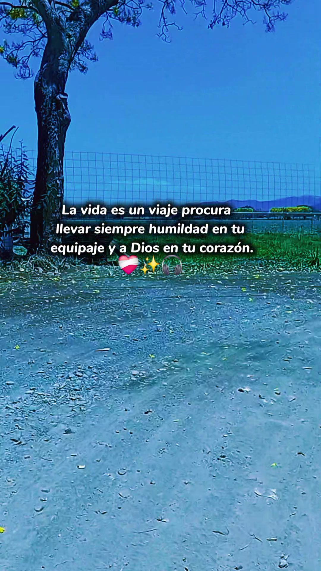 @Ana Deloya