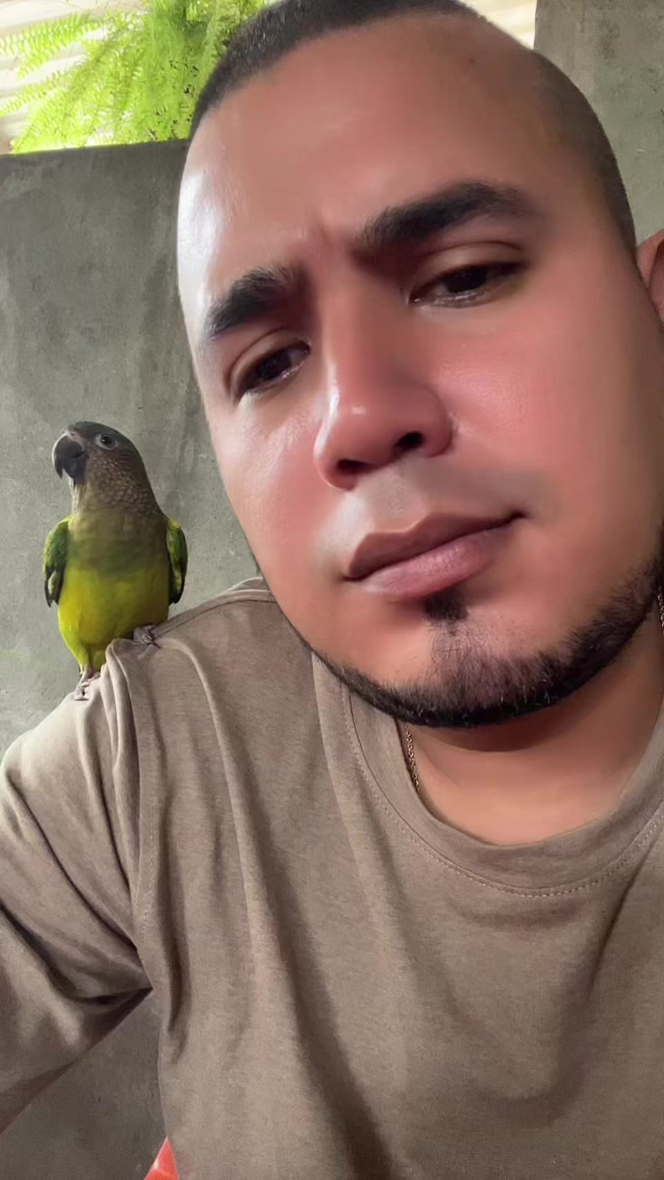 @Miguel Durán