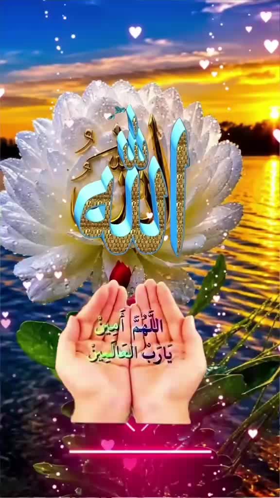 @আরিয়ান 💚💚💛🧡❤️