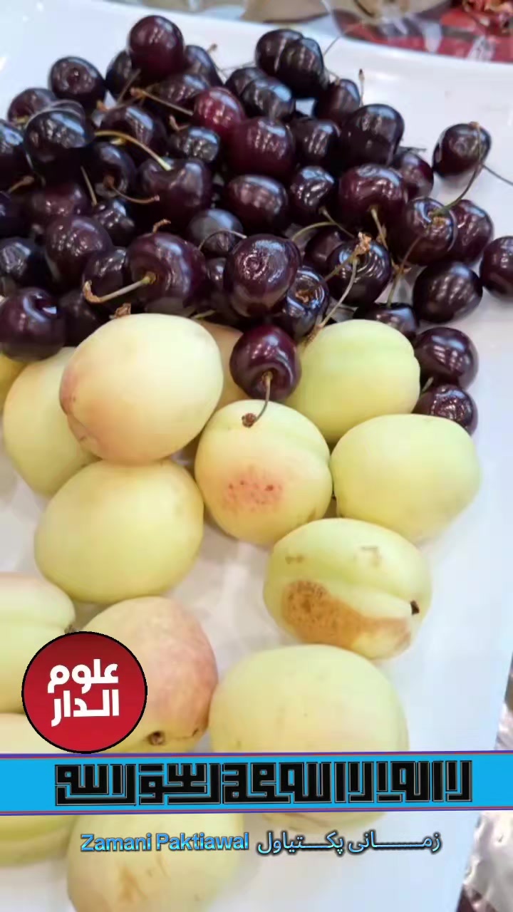 @Zamani Group Trading 🇦🇫