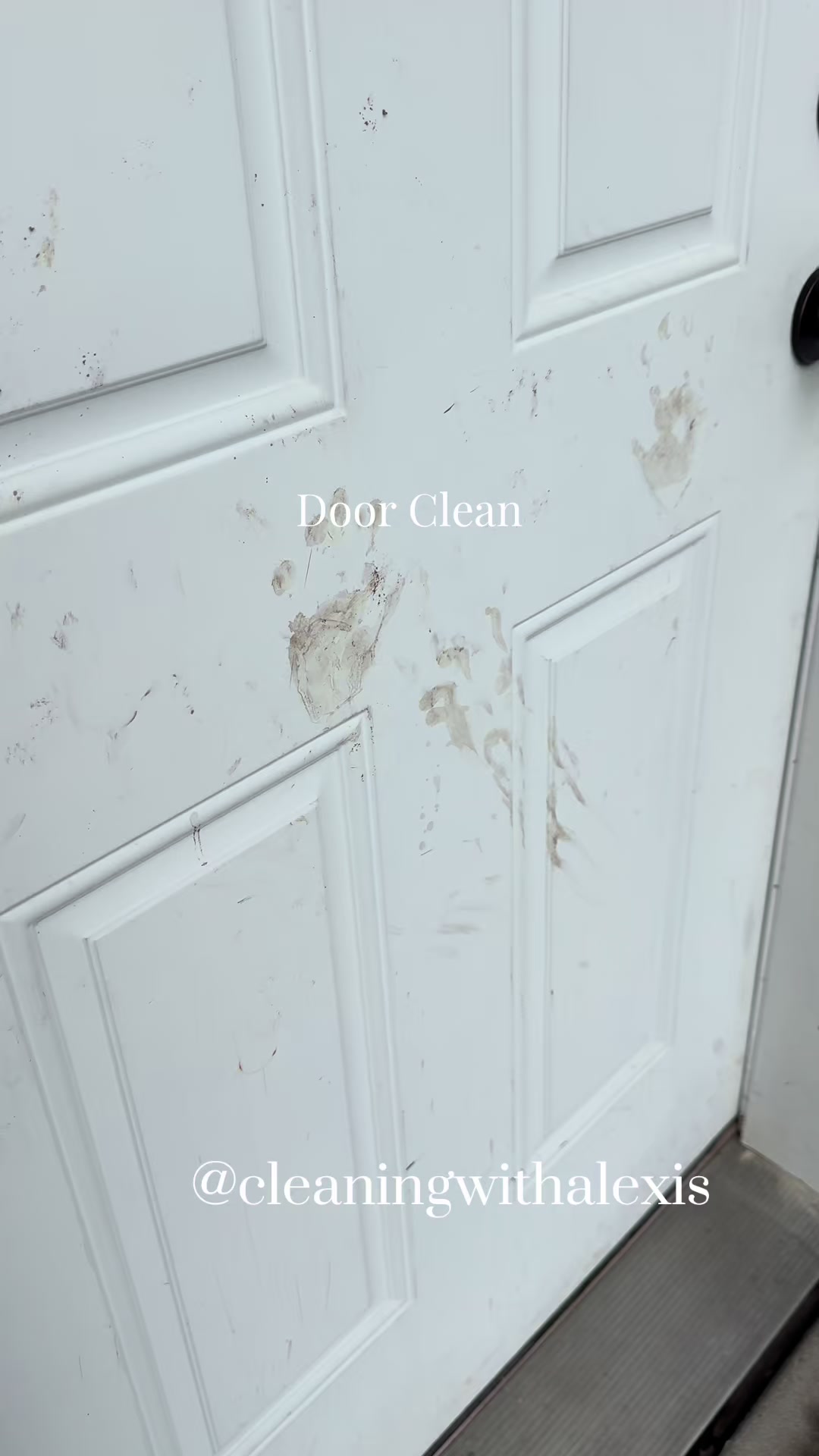 @AlexisCleanASMR