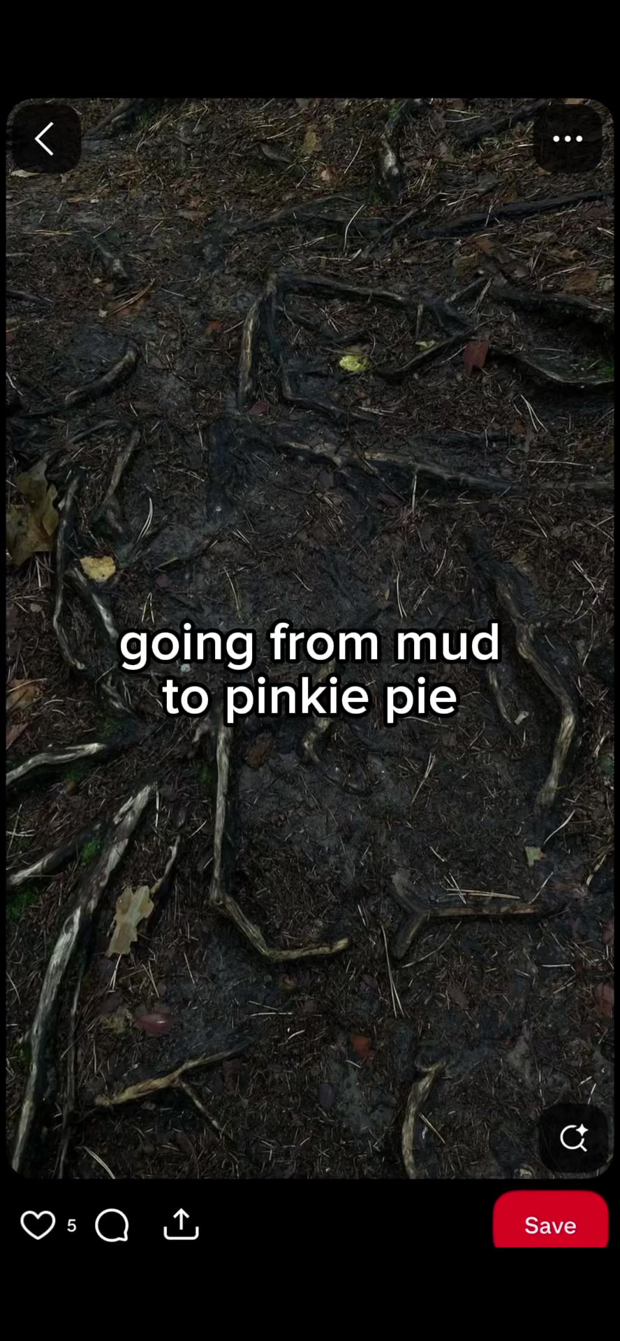 @MoonBerry