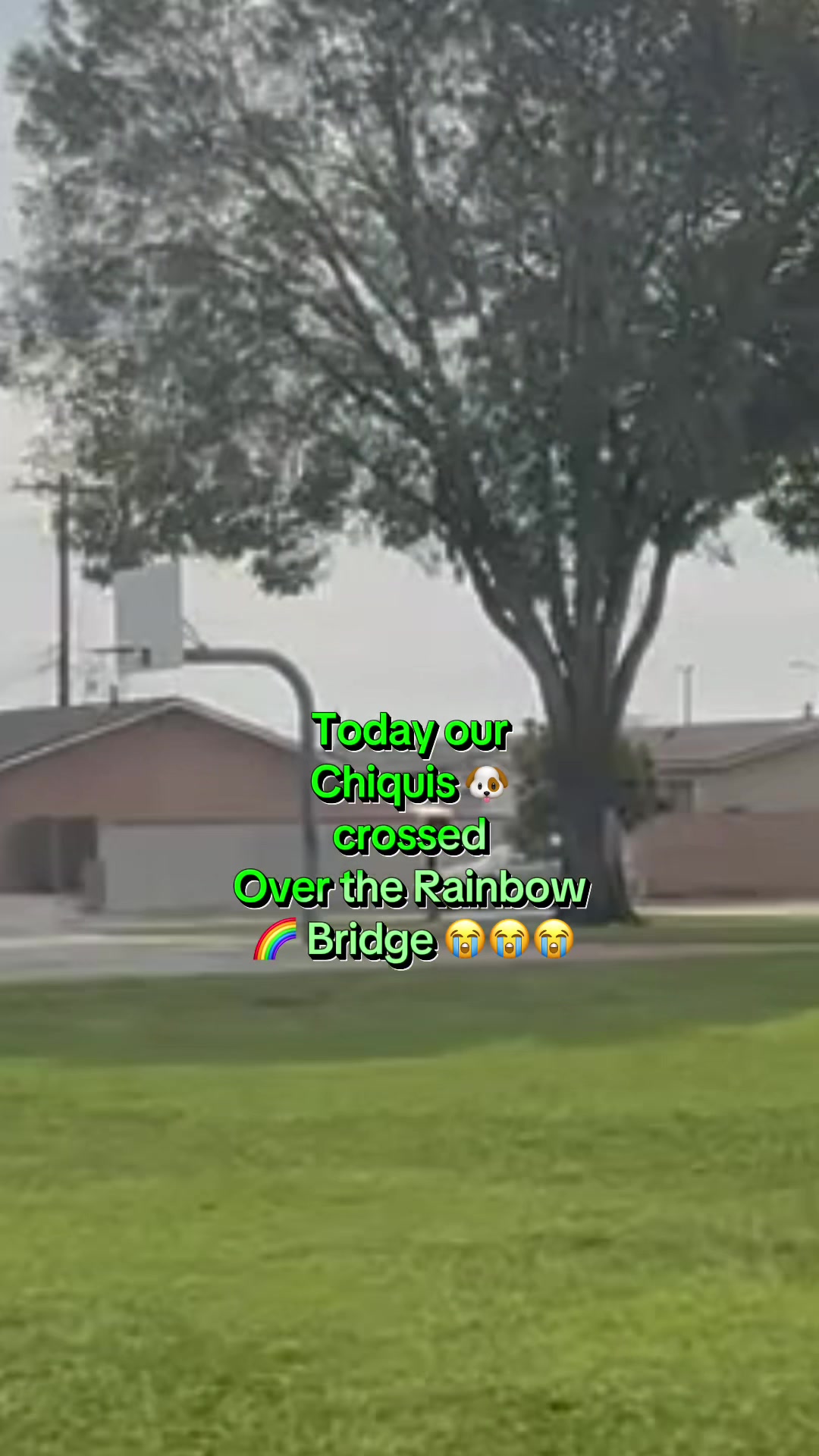 @🧿 🩵Nhetteez🩵 🧿