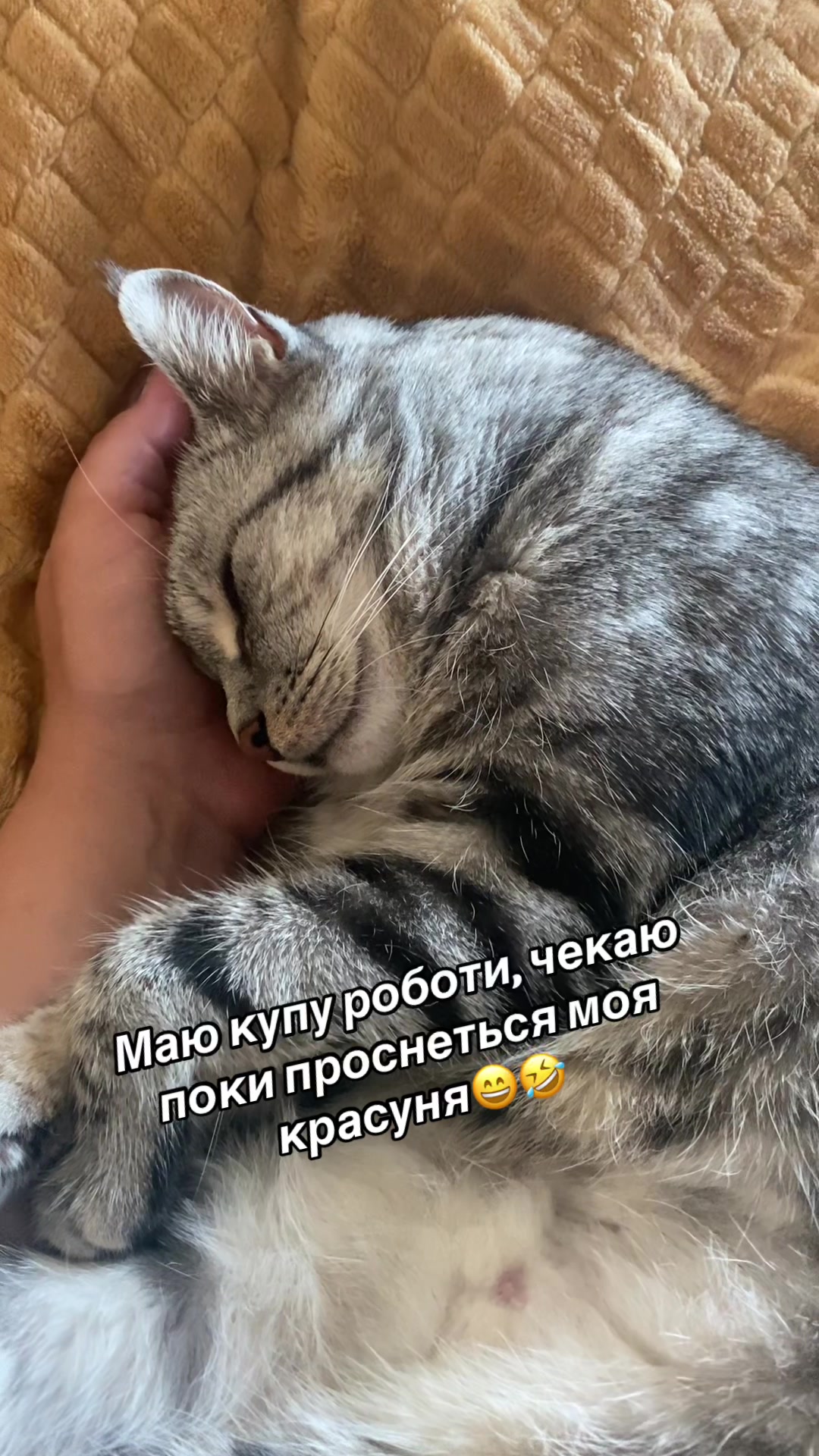 @Oksi💙💛