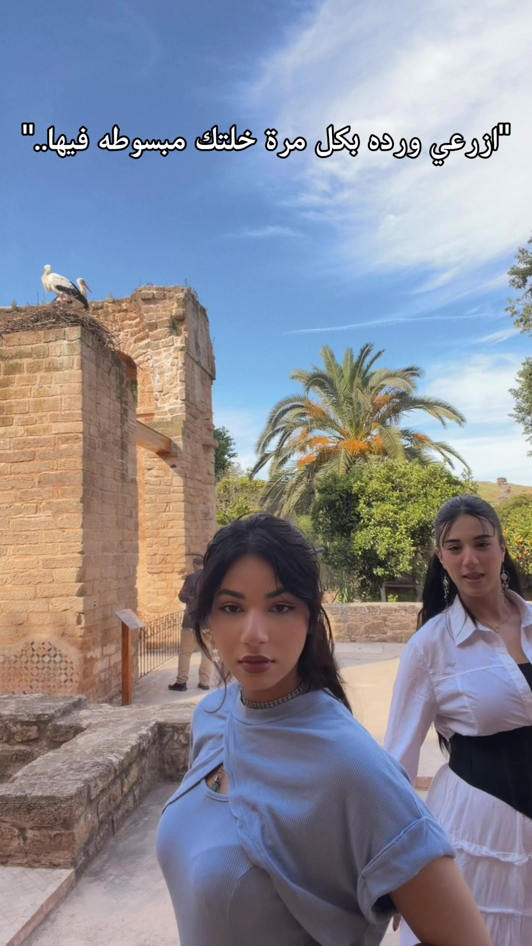 @Peaκaboo🤫