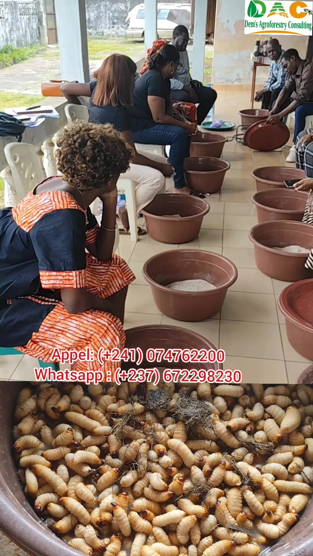 @Dem's Agroforestry Consulting