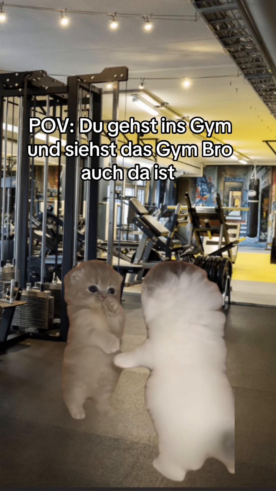 @Marv/Bodybuilding