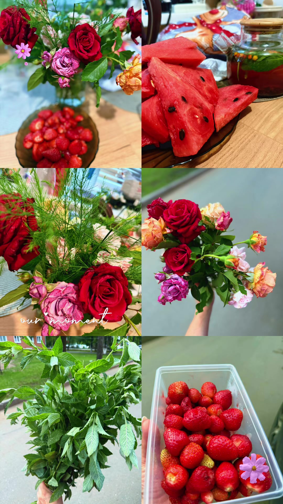 @Melkaya radost&rsquo;🌸