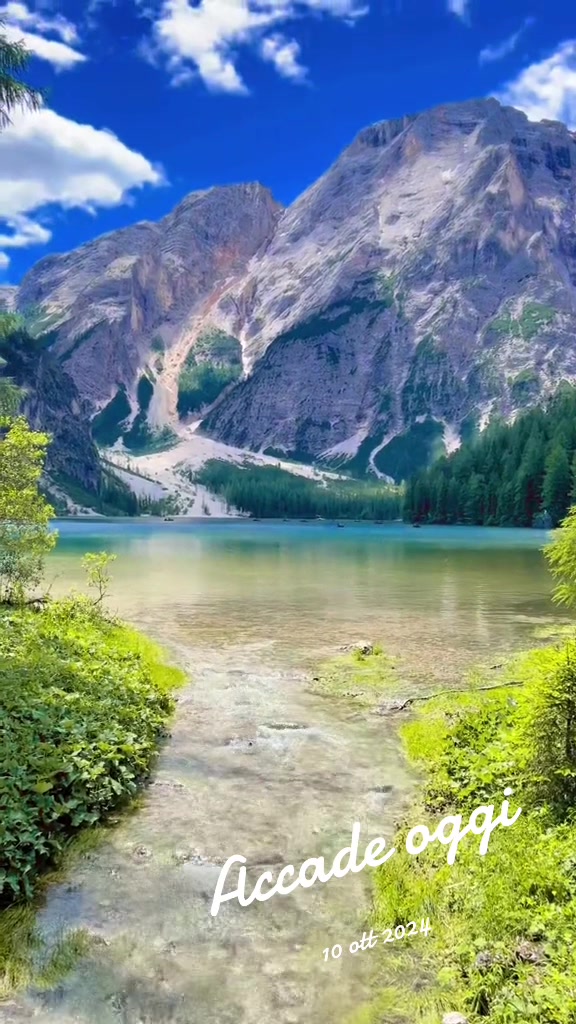 @Ciccio Pino