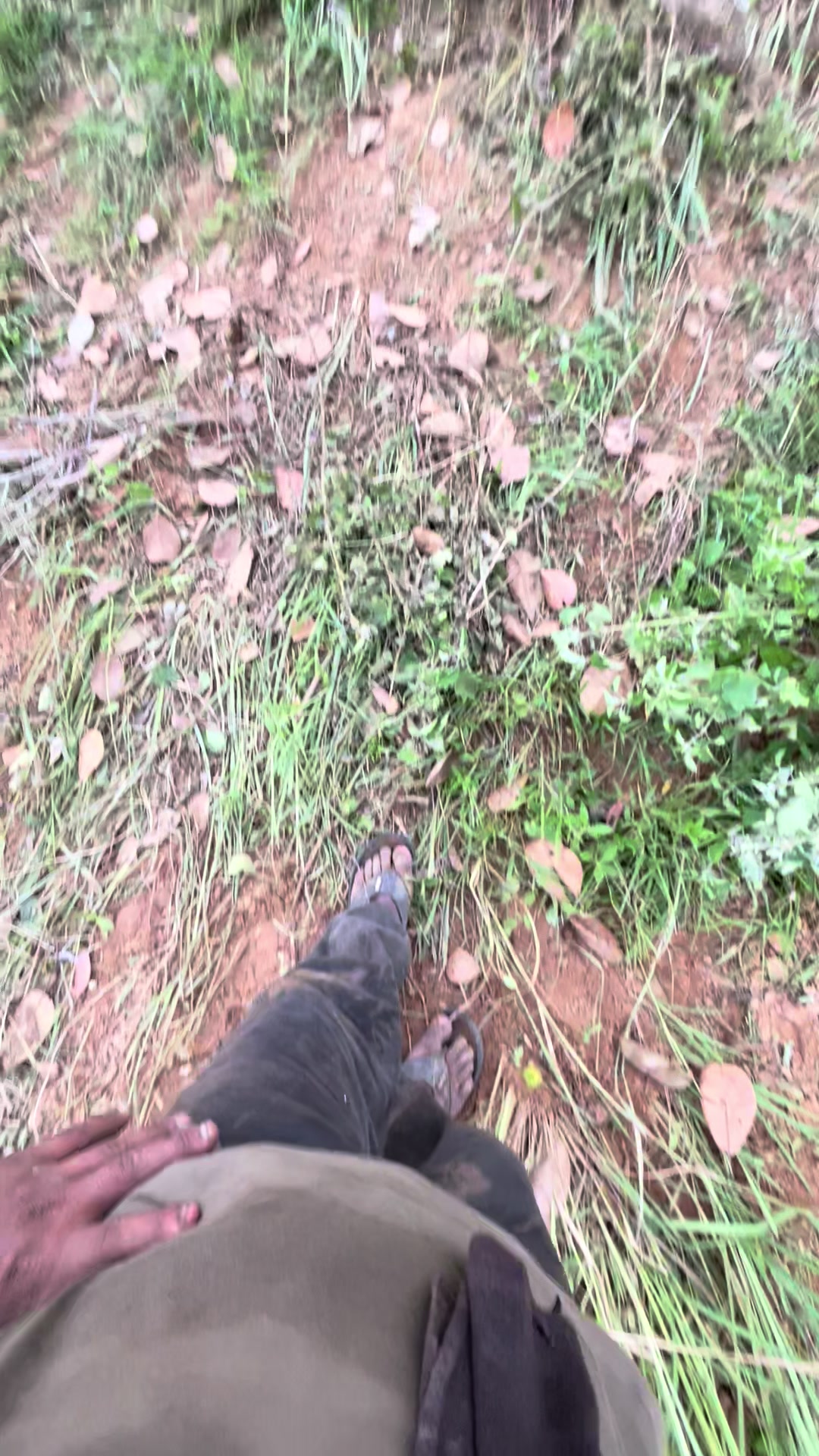 @បង ឡង99529