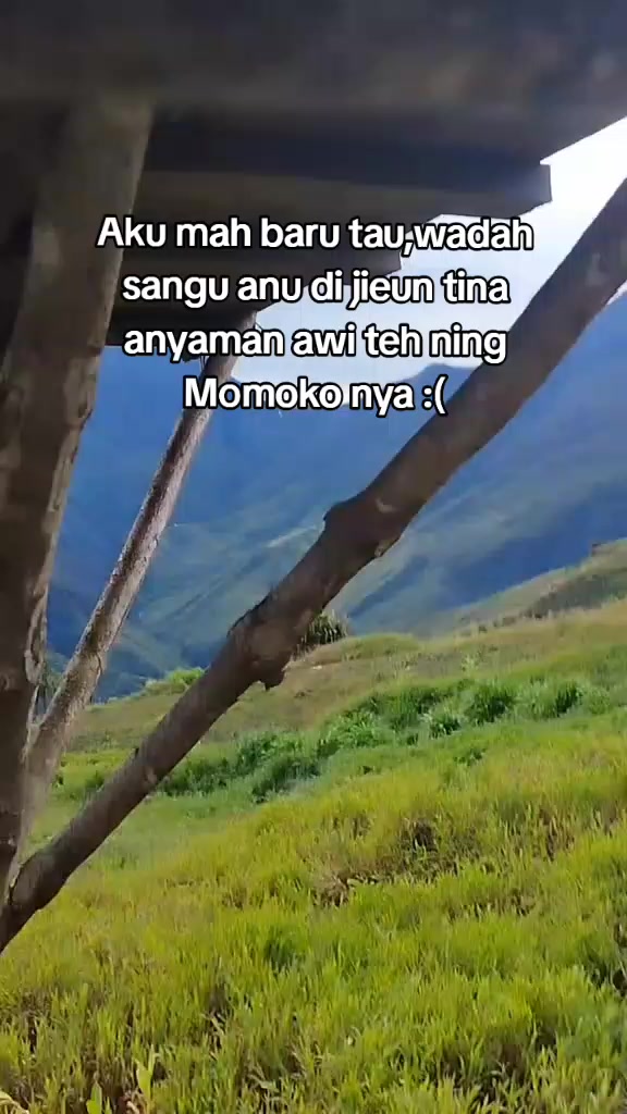 @Samson Tasikmalaya