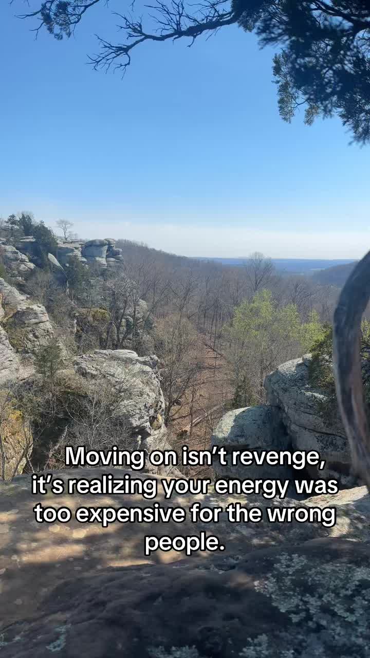 @softlifealchemy