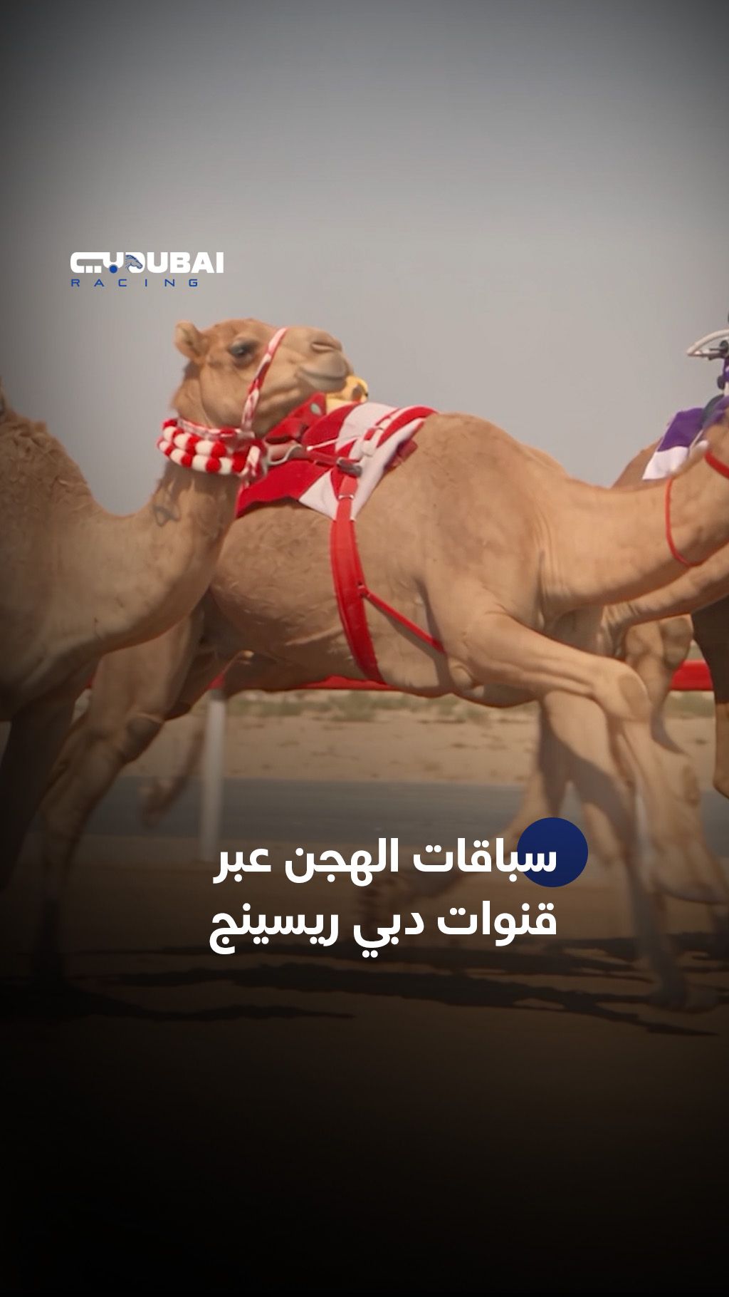 @Dubai Racing TV